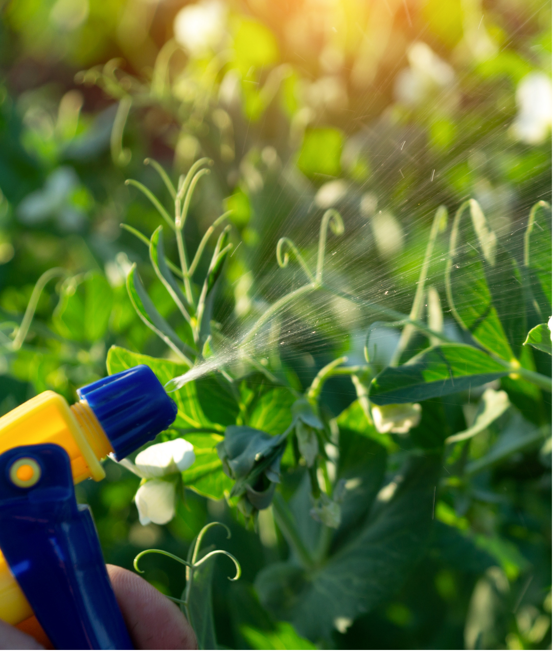 pics for poison diaries (5)